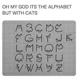 20a0e8cfad14fc72d5eb1a69c56f020c.jpg