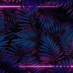 f21c5fe27285285235ca98f3ff6df0eb.jpg
