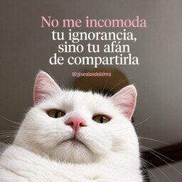 0e1c3450379a59c9cefa13f30cb24f7b.jpg
