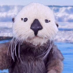 Otta avatar