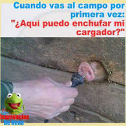 981e41bba0c7925d34be851efb261b9f.jpg