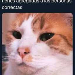 fda33f7134e680d6e4b520914a076d2c.jpg