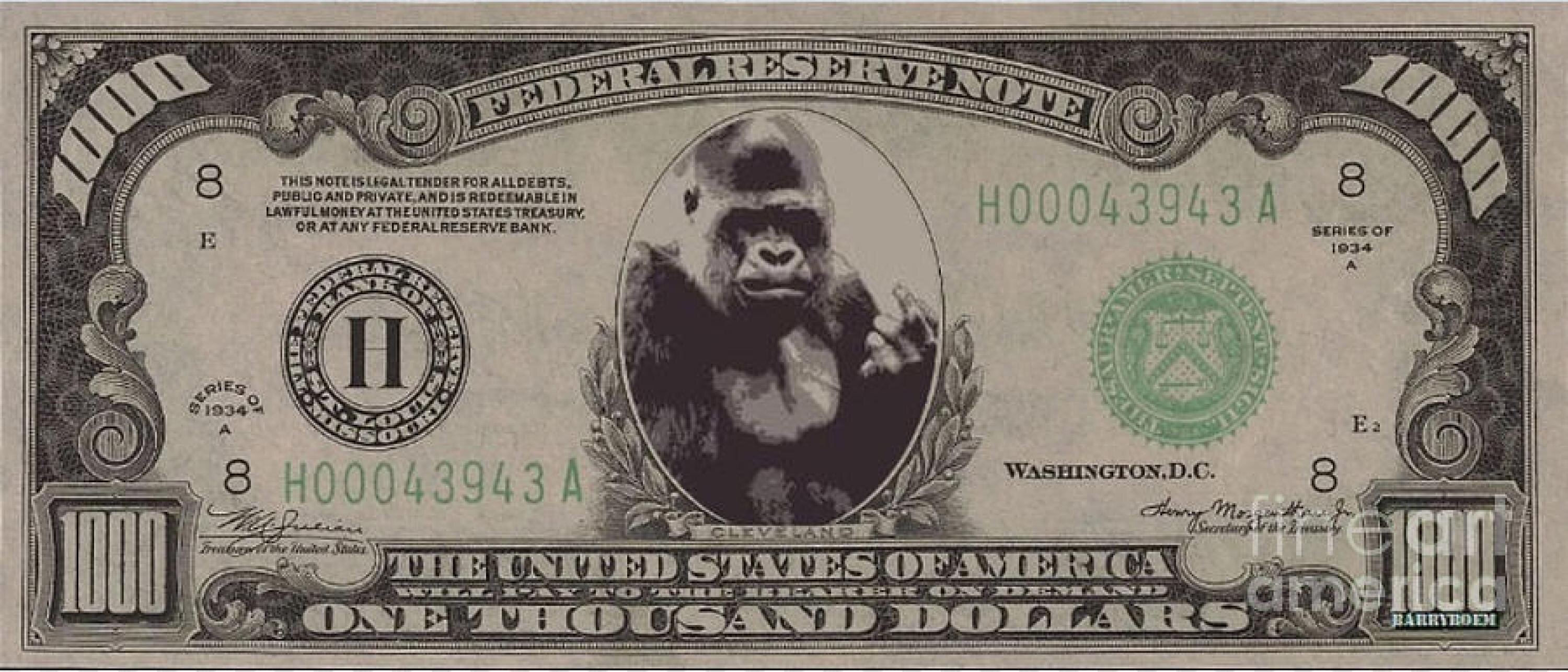 foto de portada de Edu