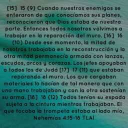 c3ea4d06a85d927286bd7bc9e9e2555f.jpg