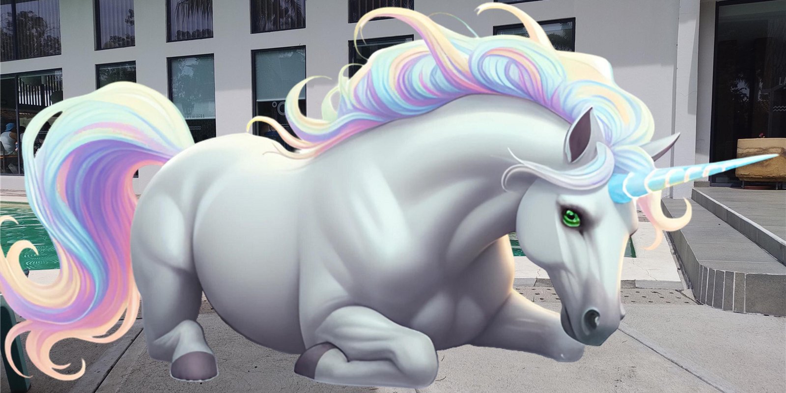 foto de portada de Caballo